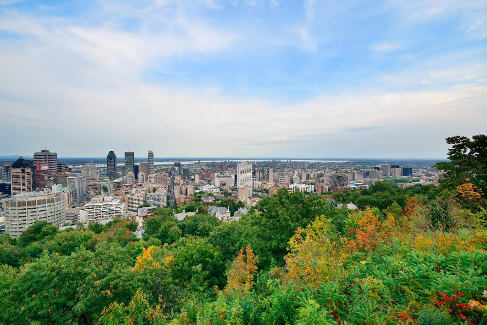 montreal day view from mount royal with city skyline